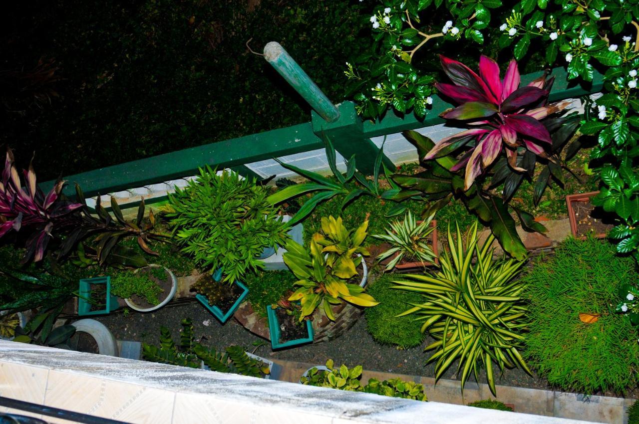 Myr-O Homestay Kombichankulama Exterior photo