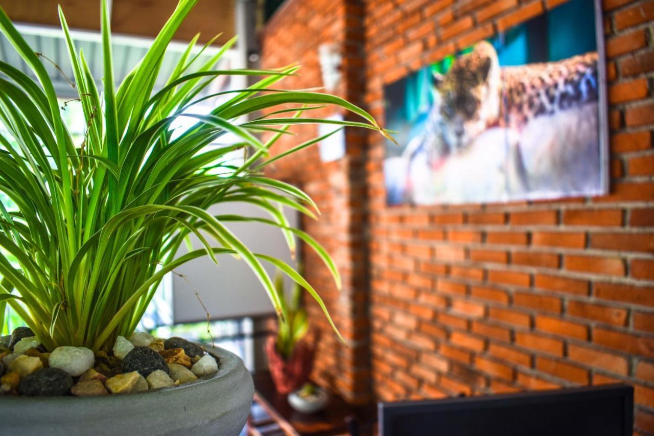 Myr-O Homestay Kombichankulama Exterior photo